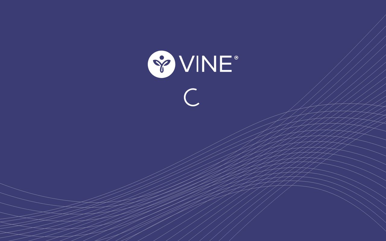 Kent County VINELink custody check start screen